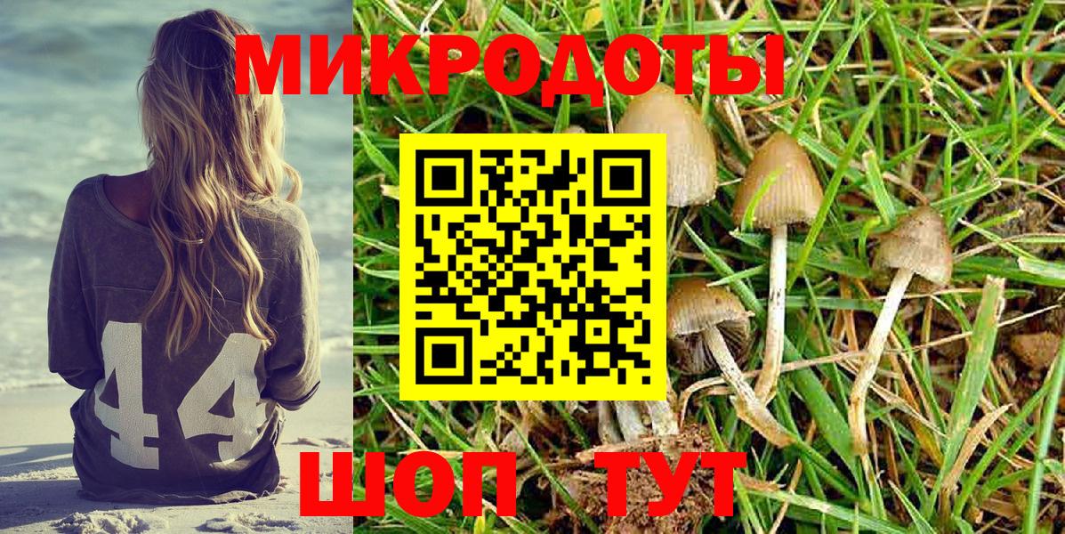 Галлюциногенные грибы MAGIC MUSHROOMS  Псилоцибиновые грибы Cubensis  Барнаул  Вход с VPN 